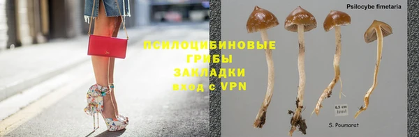 ешки Балахна