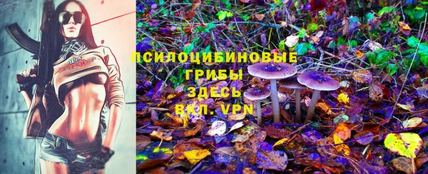твердый Баксан